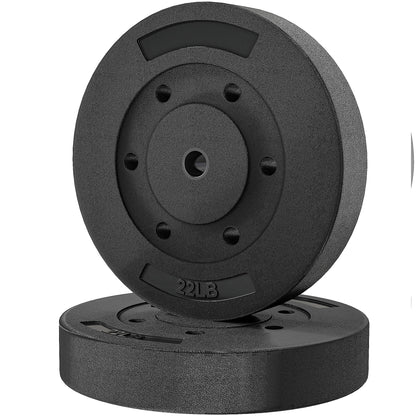 Soozier Weight Plates Set of 2, 1-Inch Barbell Weight Set for Home Gym Strength Training and Weightlifting, 2 x 22 lbs