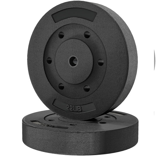 Soozier Weight Plates Set of 2, 1-Inch Barbell Weight Set for Home Gym Strength Training and Weightlifting, 2 x 22 lbs