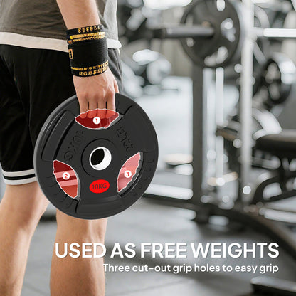 Soozier Weight Plates Set, 2-Inch Barbell Weights Set w/Tri-Grips for Home Gym Weightlifting and Strength Training, 2 x 22lbs