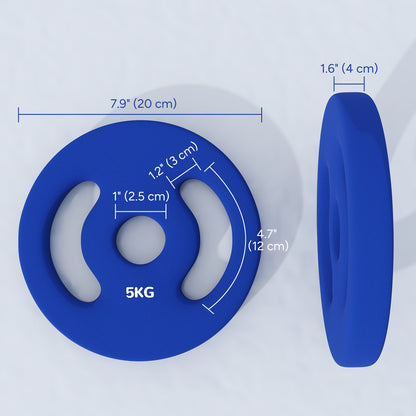 Soozier 2 x 11lbs Standard Weight Plates with Easy-Grip Handles, 1" Holes, for Home, Gym, Weight Lifting and Strength Training